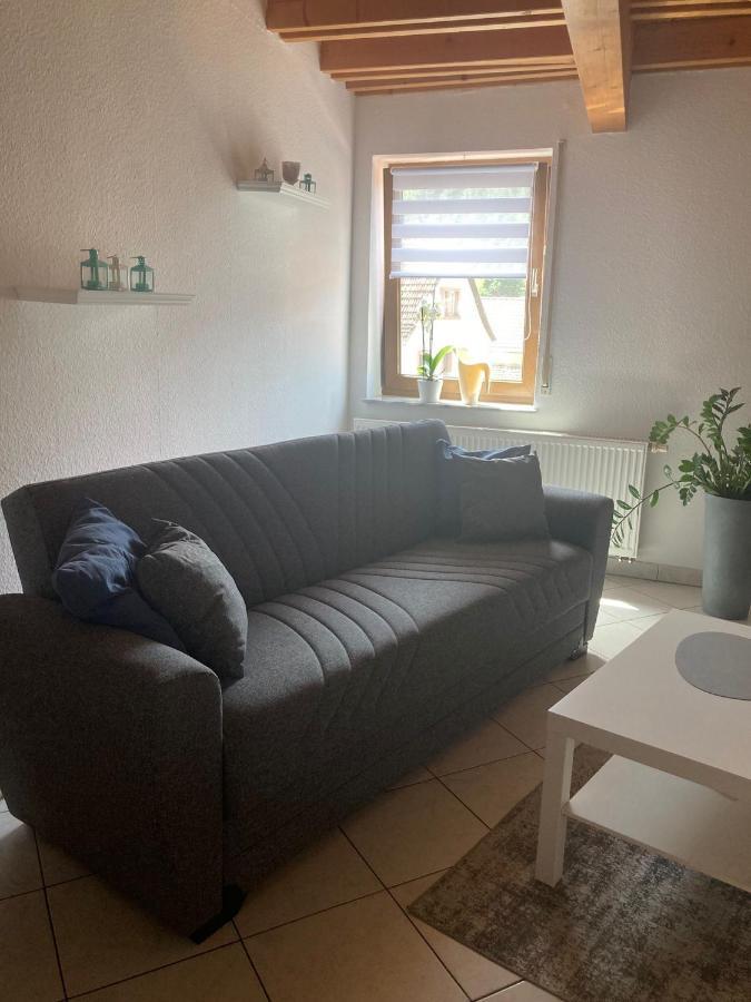 Apartamento Dz Im Haus Maja Holzkirchen  Exterior foto